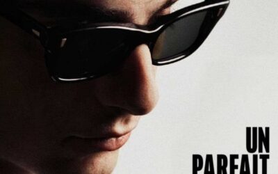 Critique d&rsquo;un film               Un parfait inconnu